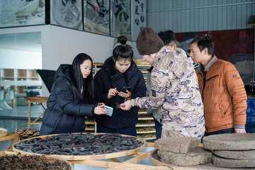 Pillars of Impact: How Zhengxiu Transforms Lives