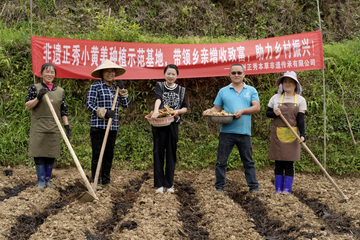 Sustainable Farming: Elevating Communities Through Nature