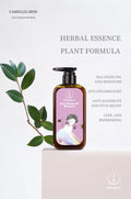 Camellia & Herbal Anti-Dandruff Shampoo – Soothe Flakes, Nourish Roots with Miao Herbal Wisdom | Sulfate-Free & Scalp-Reviving MiaoZen
